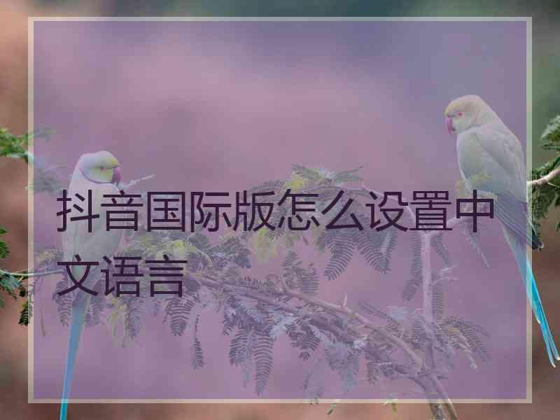 抖音国际版怎么设置中文语言