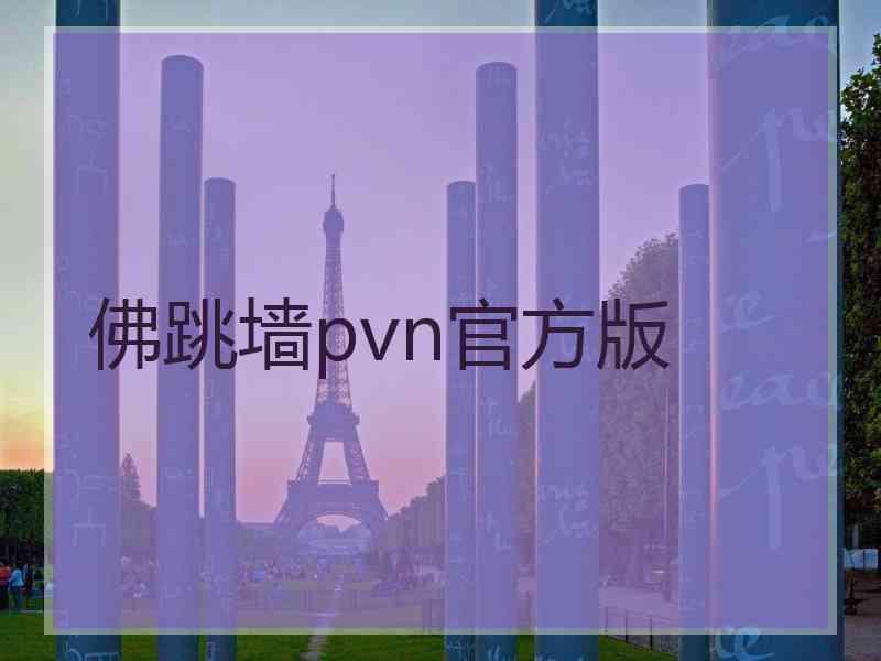 佛跳墙pvn官方版