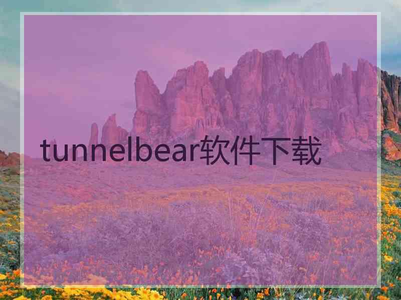 tunnelbear软件下载