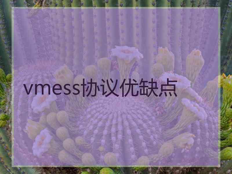 vmess协议优缺点