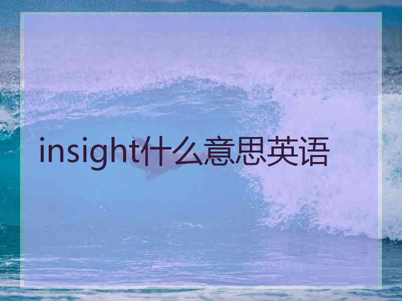 insight什么意思英语