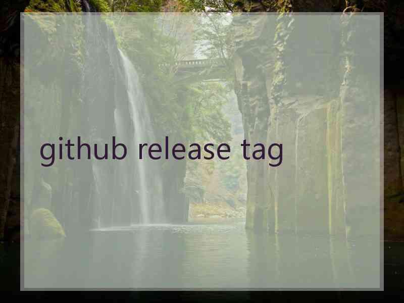 github release tag