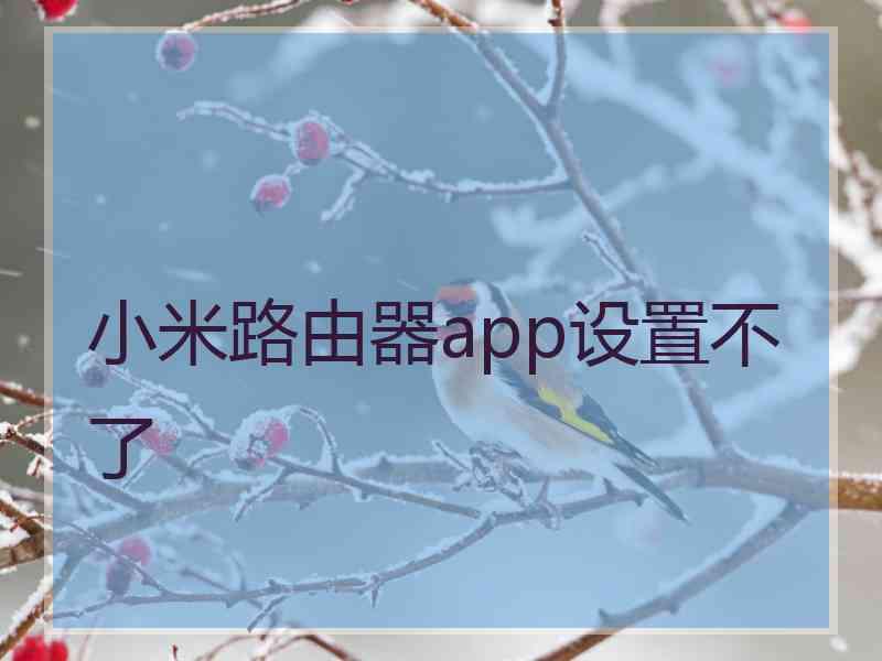 小米路由器app设置不了