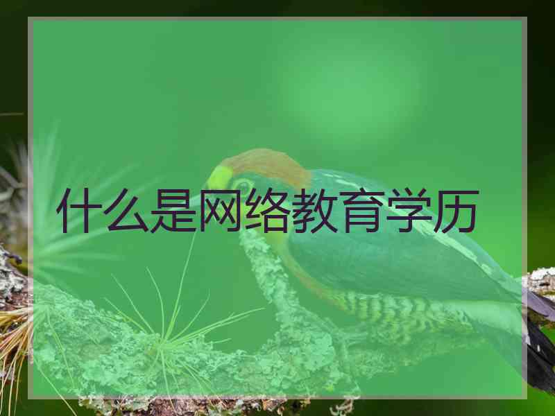 什么是网络教育学历