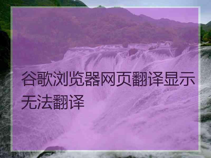 谷歌浏览器网页翻译显示无法翻译