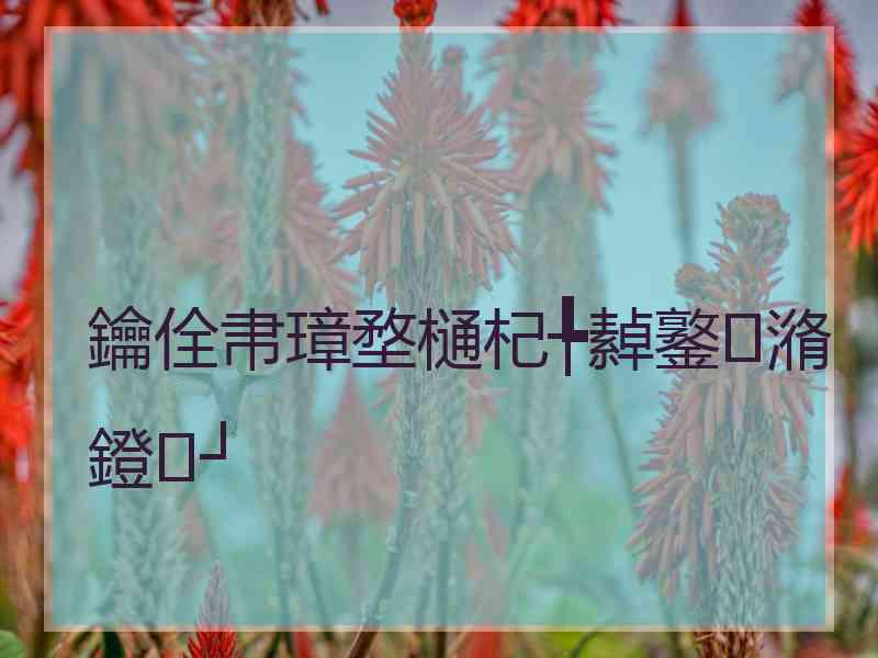 鑰佺帇璋堥樋杞╄繛鐜潃鐙┘