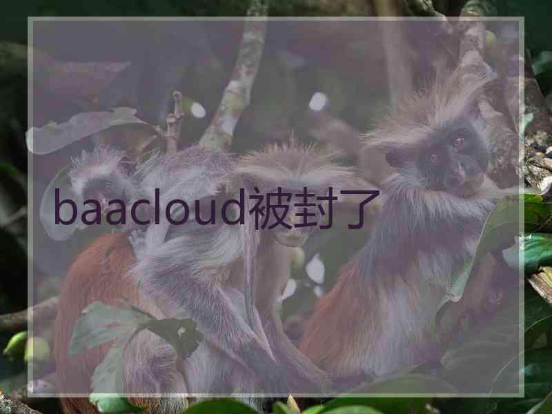 baacloud被封了