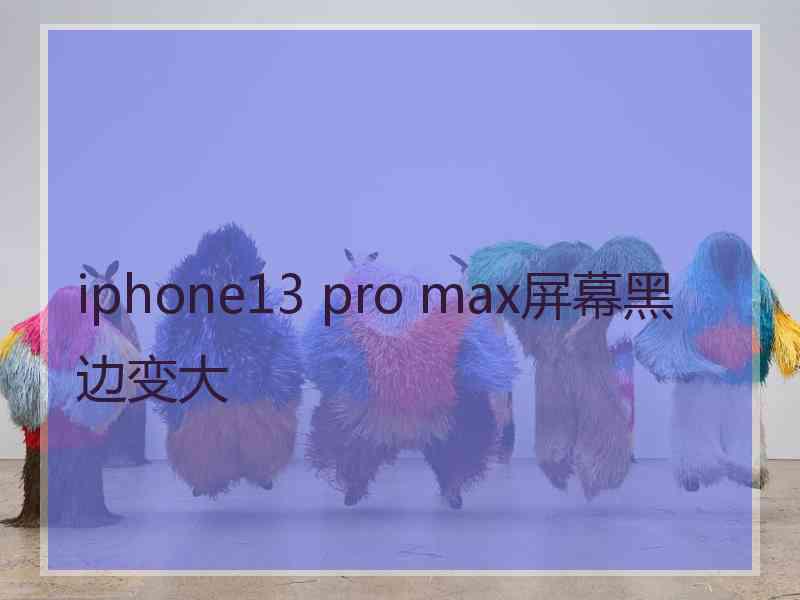 iphone13 pro max屏幕黑边变大