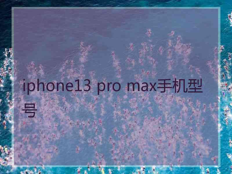 iphone13 pro max手机型号