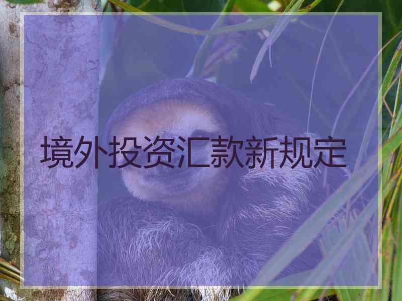 境外投资汇款新规定