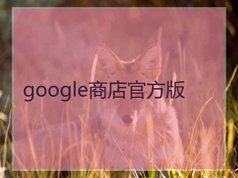 google商店官方版