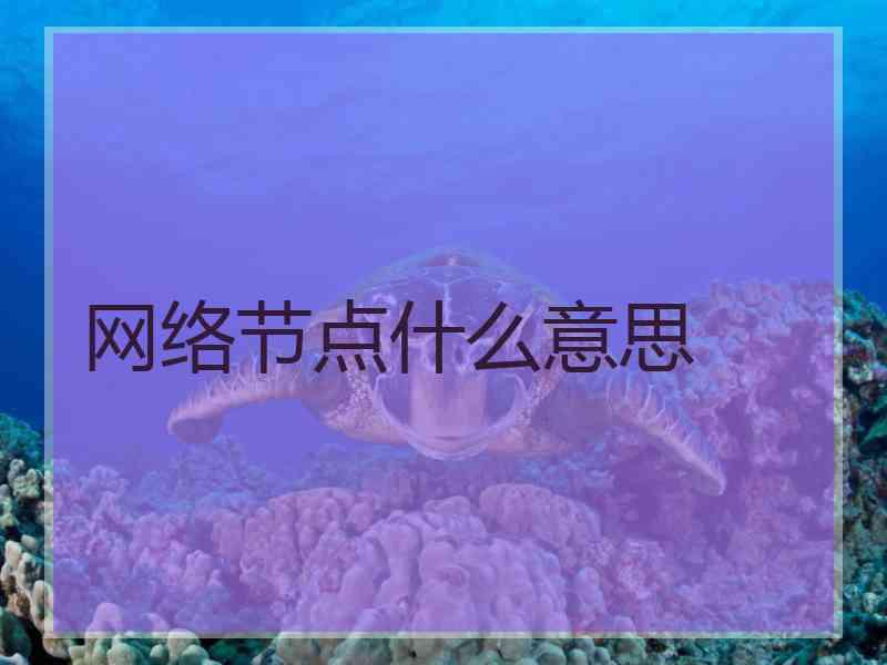 网络节点什么意思