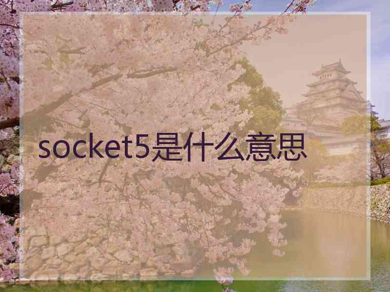 socket5是什么意思