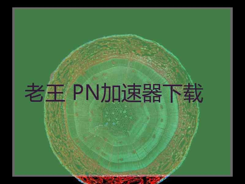 老王 PN加速器下载