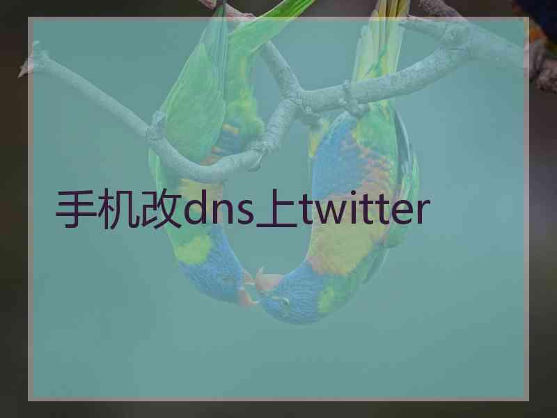 手机改dns上twitter