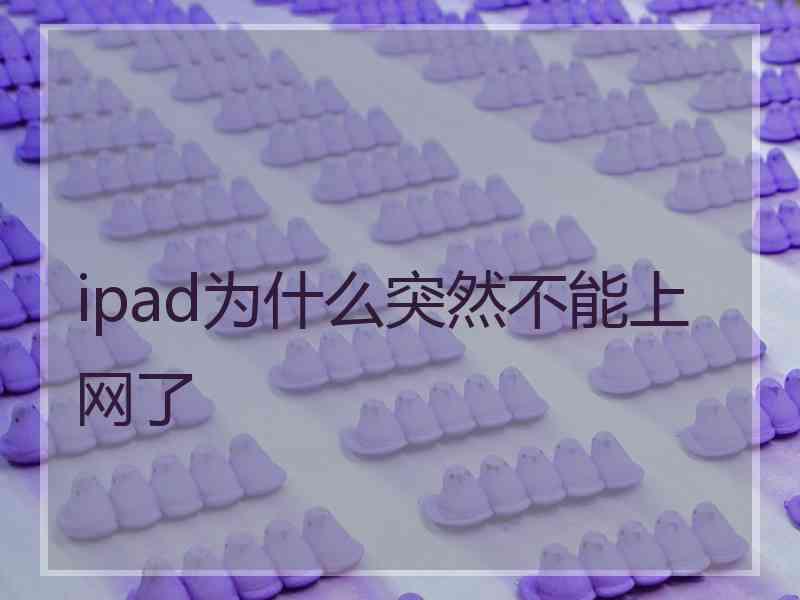 ipad为什么突然不能上网了