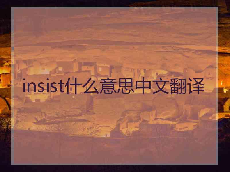 insist什么意思中文翻译