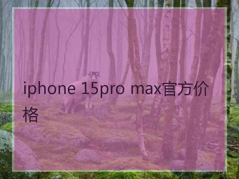 iphone 15pro max官方价格