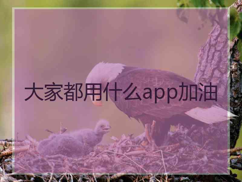 大家都用什么app加油