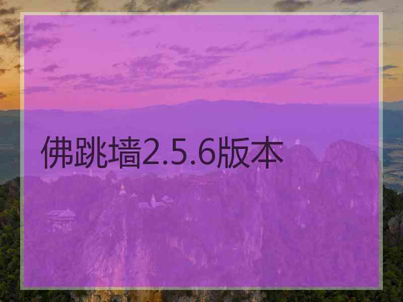 佛跳墙2.5.6版本