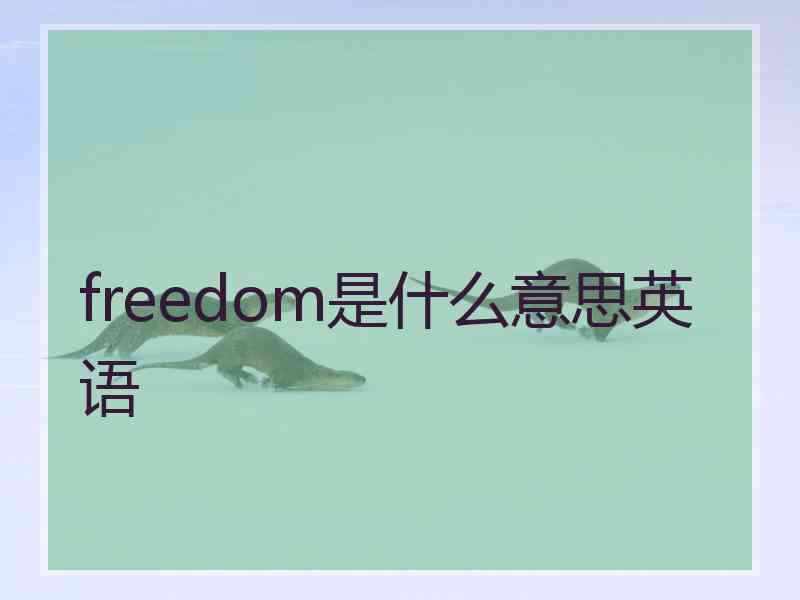 freedom是什么意思英语