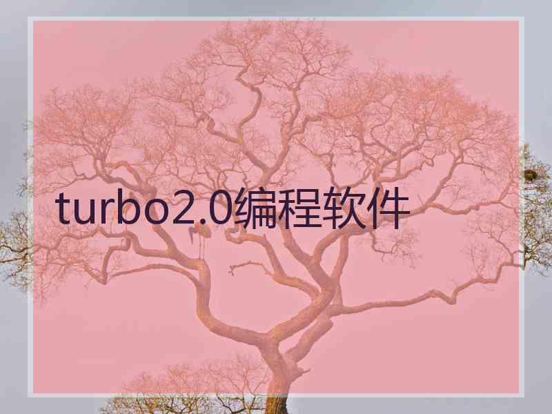 turbo2.0编程软件