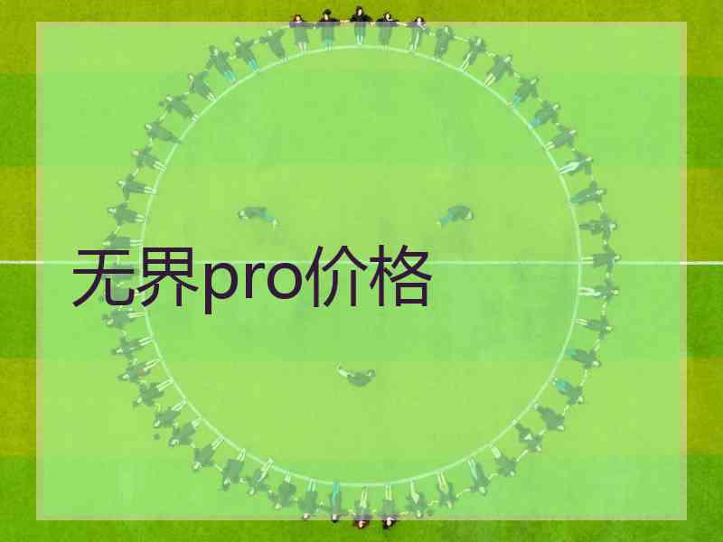 无界pro价格