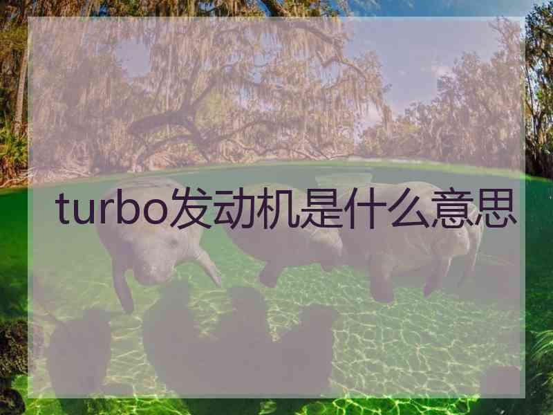 turbo发动机是什么意思