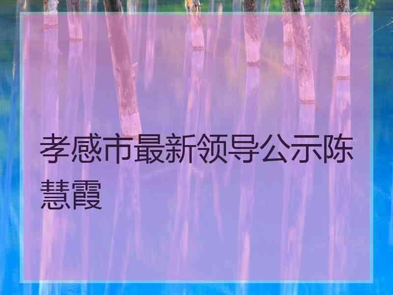 孝感市最新领导公示陈慧霞