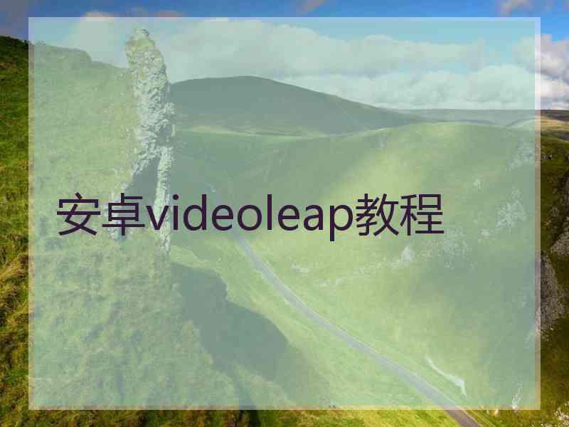 安卓videoleap教程