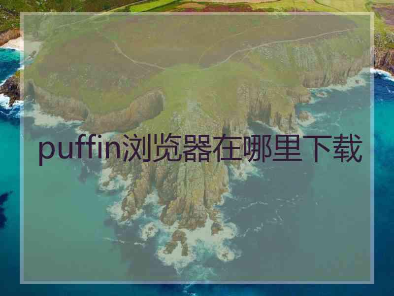 puffin浏览器在哪里下载