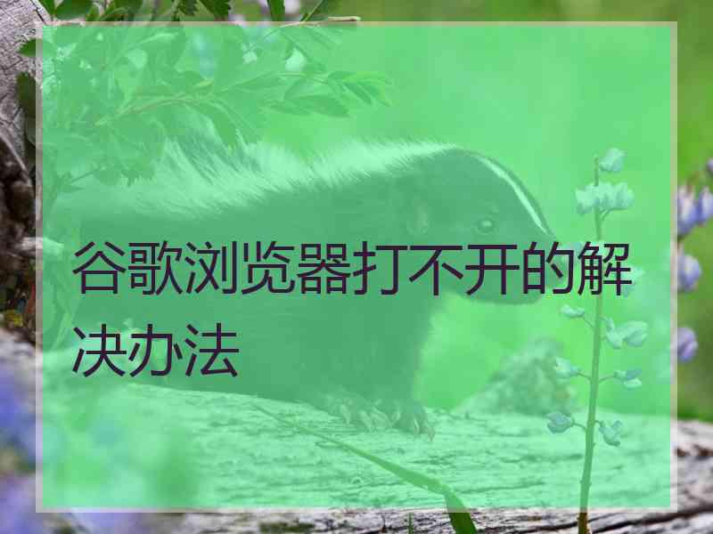 谷歌浏览器打不开的解决办法