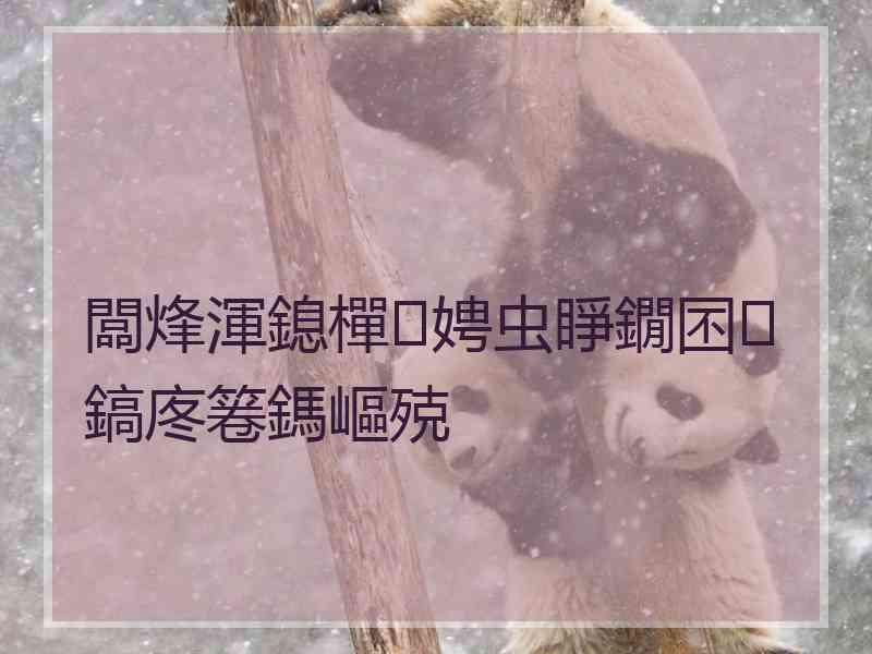 闆烽渾鎴樿娉虫睜鐗囨鎬庝箞鎷嶇殑