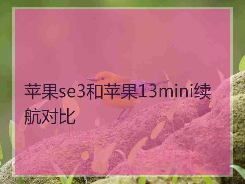 苹果se3和苹果13mini续航对比