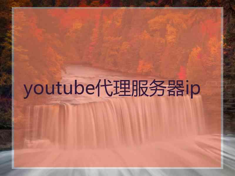 youtube代理服务器ip