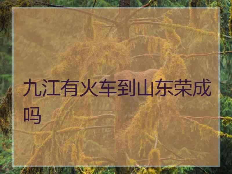 九江有火车到山东荣成吗