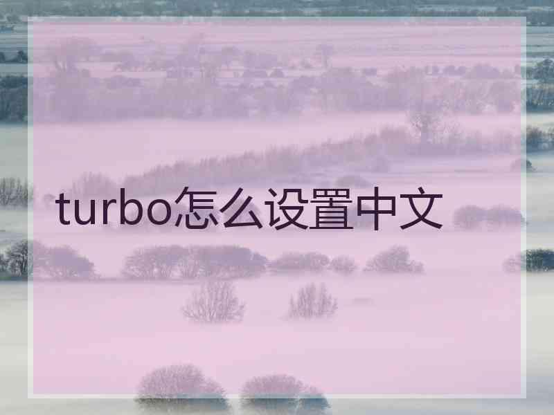 turbo怎么设置中文