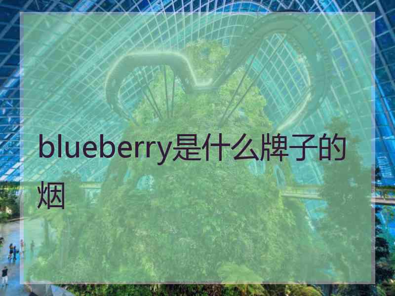 blueberry是什么牌子的烟