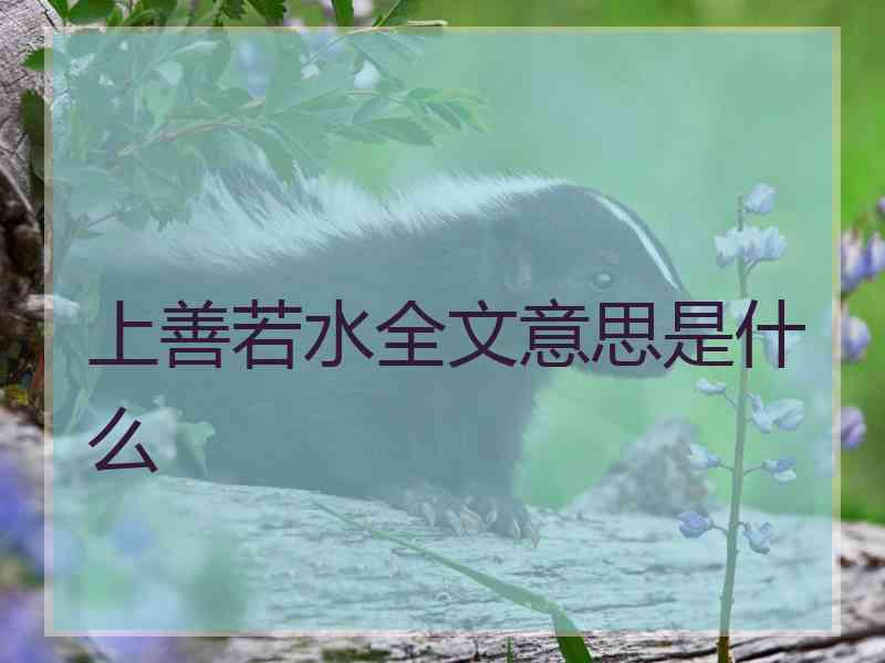 上善若水全文意思是什么