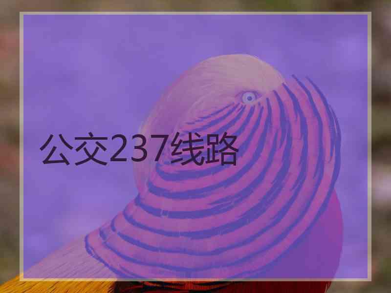 公交237线路