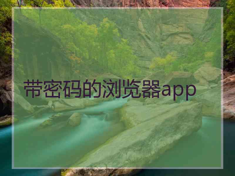 带密码的浏览器app