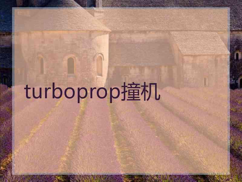 turboprop撞机