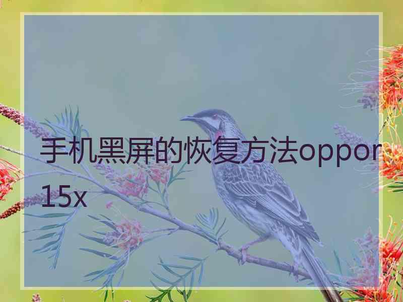 手机黑屏的恢复方法oppor15x