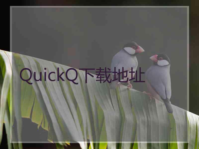 QuickQ下载地址