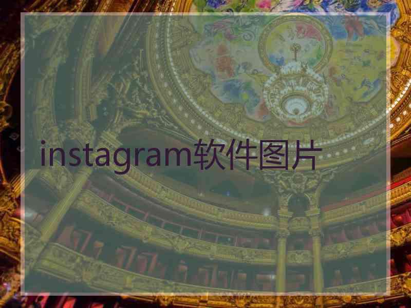 instagram软件图片