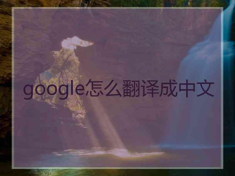 google怎么翻译成中文