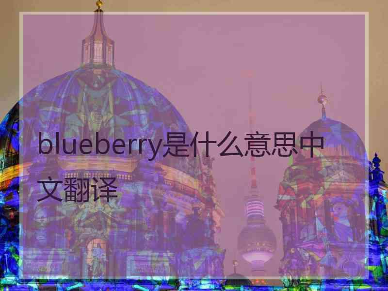 blueberry是什么意思中文翻译