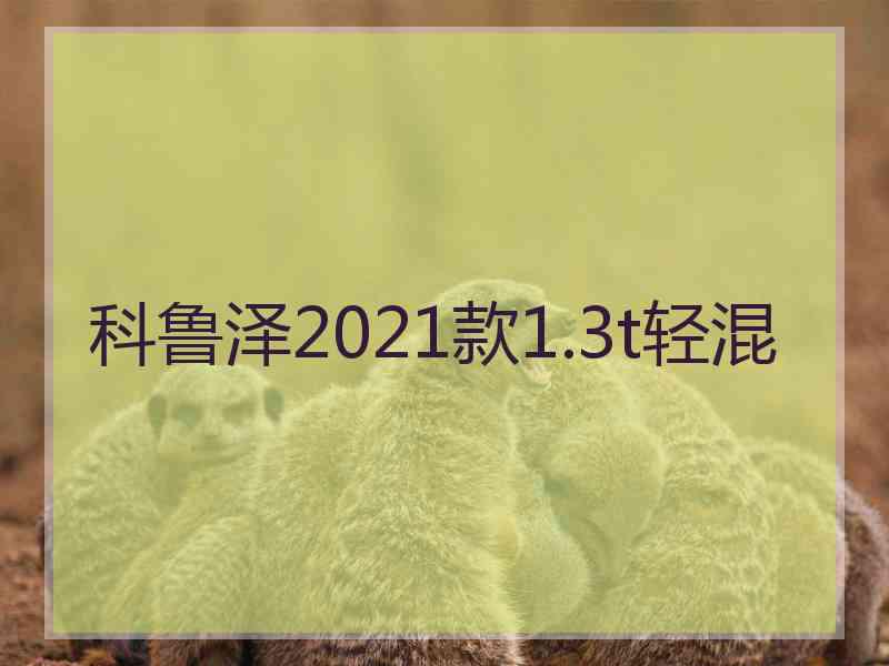 科鲁泽2021款1.3t轻混