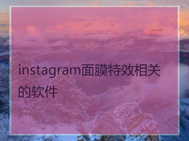 instagram面膜特效相关的软件