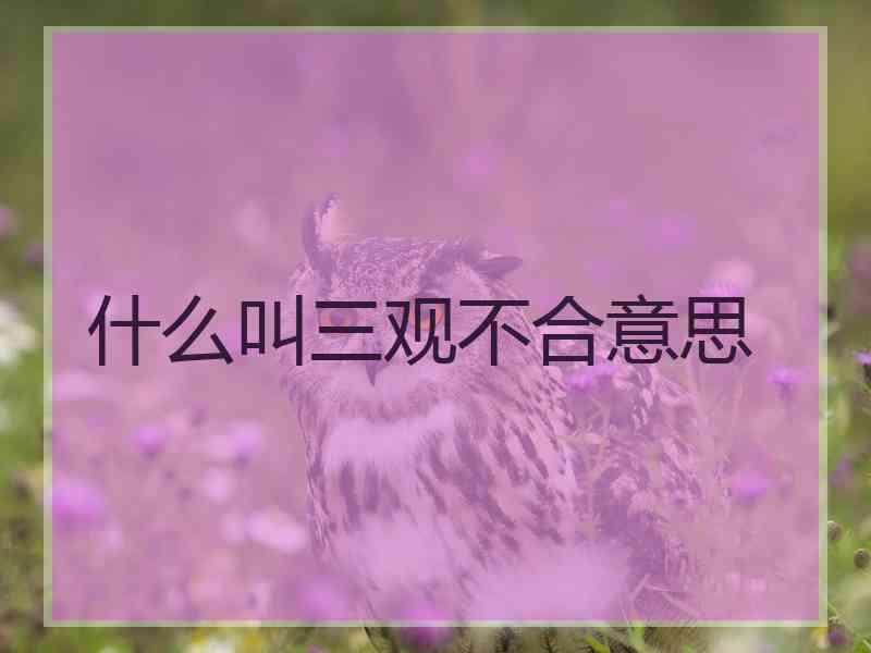 什么叫三观不合意思